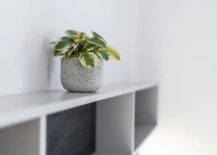 Oaza Ricany (Central Bohemian)